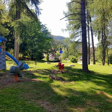 B&B - Cane In Fiore Baselga di Pinè Εξωτερικό φωτογραφία